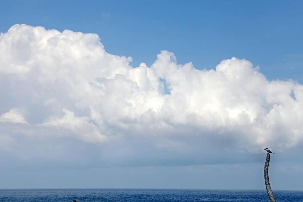 Villa Lumba Lumba - Oceanfront & Spectacular View! Nusa Lembongan  Exterior photo